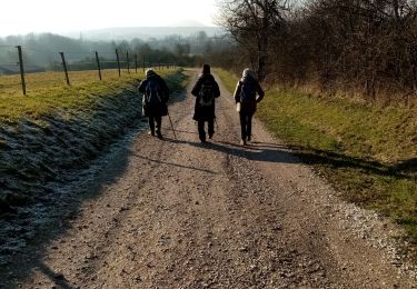 Trail Walking Frahier-et-Chatebier - frahier - Photo