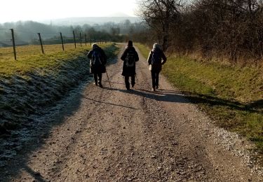 Tocht Stappen Frahier-et-Chatebier - frahier - Photo