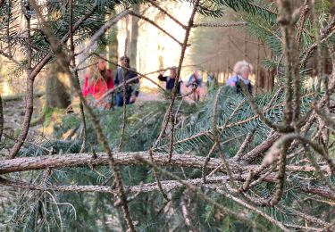 Tour Wandern Lierneux - Par les crêtes  - Photo