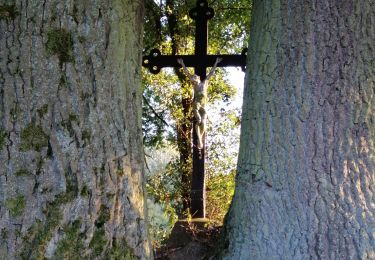 Excursión Senderismo Neupré - Sentiers communaux Plaineveaux Esneux - Photo