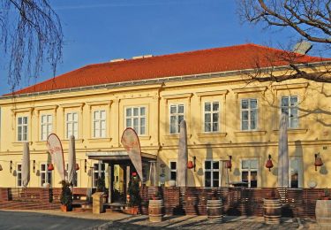 Tour Zu Fuß Gemeinde Göttlesbrunn-Arbesthal - Via Vinum (Rundwanderweg Göttlesbrunn - Arbesthal) - Photo