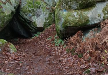 Tour Wandern Fontainebleau - 3 eme solution  15 janvier cabaret masson - Photo