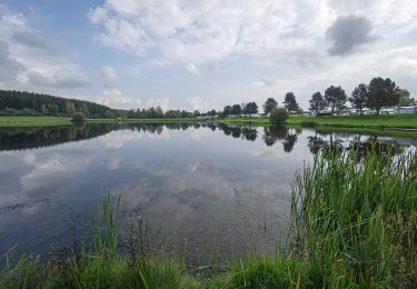 Randonnée A pied Troisvierges - Conzefenn Naturpad - Photo