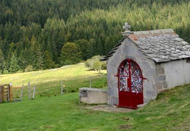 Trail Walking Besse-et-Saint-Anastaise - Besse_Chapelle_Vassiviere - Photo