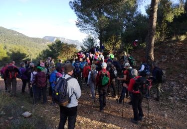 Trail Walking Le Revest-les-Eaux - le revest -Ollioules - Photo