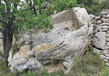 Excursión Senderismo Vernègues - Vernègues 21 Mai 2021 - Photo