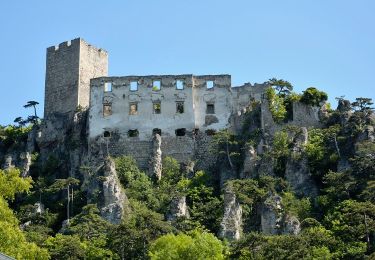 Excursión A pie Gemeinde Baden - Helenental (Hotel Sacher) - Einöde - Photo