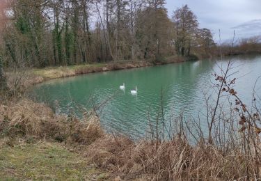 Randonnée Marche Burnhaupt-le-Bas - Burnhaupt le Bas - Photo