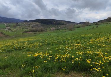 Trail Walking Chausseterre - Randonnée au dessus de Chausseterre en passant par le col de St Thomas  - Photo