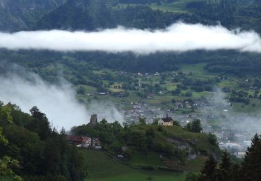 Randonnée A pied Pfäfers - Pfäfers - Spig - Photo