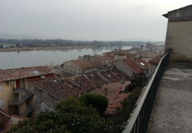 Trail Walking La Voulte-sur-Rhône - La Voulte ViaRhona 6,5km - Photo