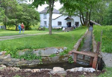 Percorso A piedi Gouvy - Au Lavoir (GOUVY 21) - Photo