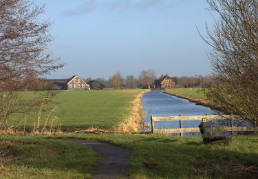 Trail On foot Stichtse Vecht - Rondje Portengen - Photo