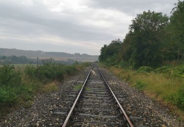 Tour Wandern Envermeu - envermeu farival les gués de St ouen sous bailly - Photo