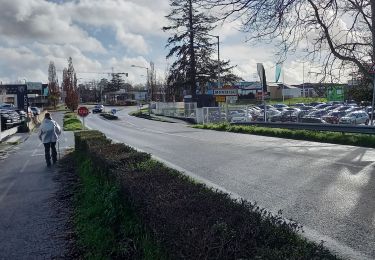 Tocht Stappen Clisson - Clisson Montaigu - Photo