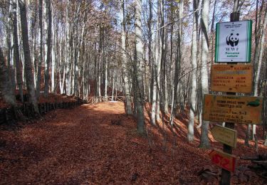 Percorso A piedi Pannarano - Dalla montagna di sotto alla montagna di sopra - Photo