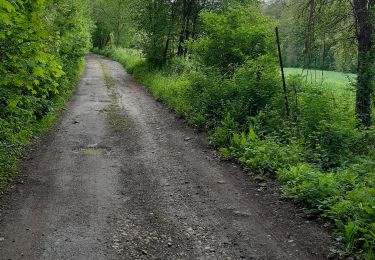 Tocht Stappen Gaillon-sur-Montcient - En passant par Dalibray - Photo