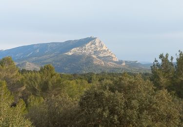 Excursión Senderismo Saint-Marc-Jaumegarde - St Marc Jaumegarde - Photo