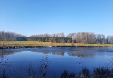 Tour Wandern Libramont-Chevigny - marche adeps Freux  - Photo