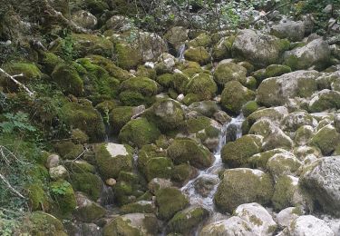 Excursión Senderismo Culoz - le grand colombier - Photo