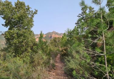 Randonnée Marche Fréjus - Malpey par la piste des Malavettes depuis Colle Douce - Photo