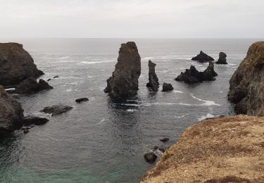 Excursión Senderismo Sauzon - pointe des poulains - Photo