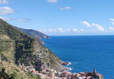 Randonnée Autre activité Vernazza - Vernazza to Monterosso to Vernazza  - Photo