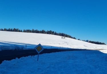 Randonnée Raquettes à neige Sainte-Eulalie - les estables sortie 3 - Photo