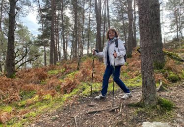 Trail Walking Fontainebleau - Franchard mont aigu  - Photo