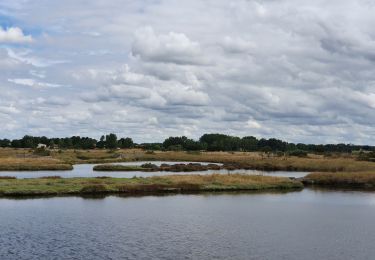 Randonnée V.T.C. Saint-Hilaire-de-Riez - De St-Jean-de-Mont à Saint-Hilaire-de-Riez - Photo