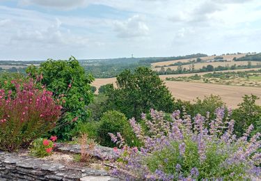 Tour Wandern La Jaille-Yvon - La Jaille-Yvon - Photo