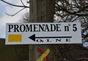 Tour Wandern Olne - 20210208 - Olne 9 Km - Photo
