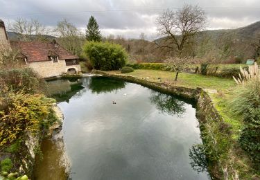 Trail Walking Larnagol - Larnagol le bout du monde  - Photo