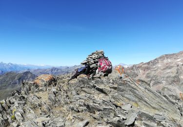 Tour Zu Fuß Gressoney-La-Trinité - Gabiet-Orestes Hutte-Colle Salza - Photo