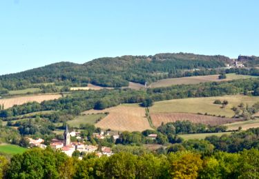 Trail Walking Laps - Laps_Coteaux_BR - Photo