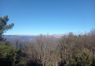 Randonnée Marche Sanremo - Monte Caggio 25.12.24 - Photo