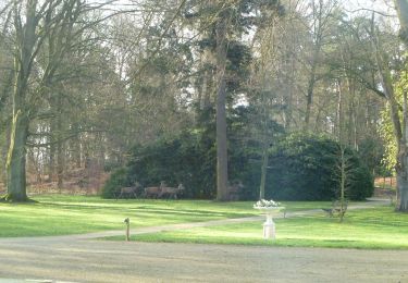 Tour Zu Fuß Rheden - Dwars door Gelderland (16) - Photo