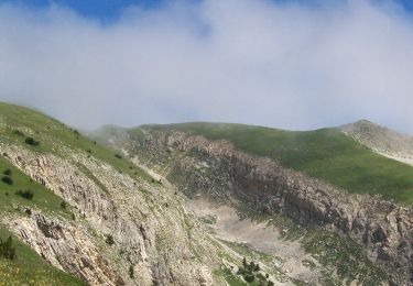 Trail Walking Saint-Julien-en-Beauchêne - Chamousset (Lus-La-Croix-Haute) - Photo