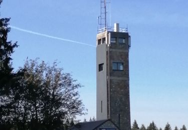 Tour Wandern Weismes - Balade botrange (verte)  - Photo