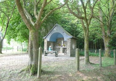 Tour Wandern Daverdisse - Porcheresse - Photo