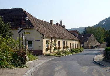 Tocht Te voet Gemeinde Paudorf - Göttweiger Wald-Erlebnisweg - Photo