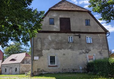 Excursión A pie Oybin - Hartau-Forsthaus Lückendorf - Photo