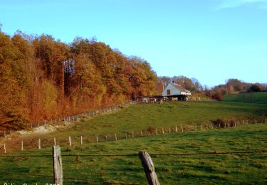 Tocht Stappen Val-au-Perche - Le Theil-sur-Huisne (Val-au-Perche)-Saint-Germain-de-la-Coudre - 7,4 Km - Photo