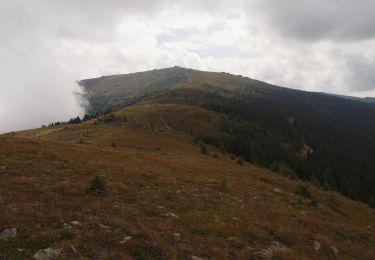 Excursión A pie Hüttenberg - Geierkogelrunde - Photo