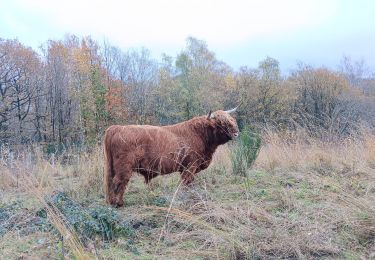 Trail Walking Liège - entre ourthe et lande (privatisée) - Photo