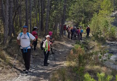Tocht Stappen Aubignosc - Boucle des Canayons depart Aubignosc  390 + - Photo