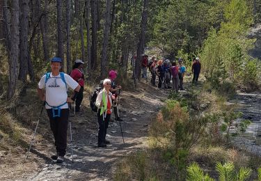 Percorso Marcia Aubignosc - Boucle des Canayons depart Aubignosc  390 + - Photo