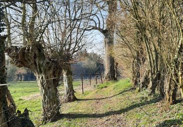 Tour Wandern Bazuel - Bazuel - Photo