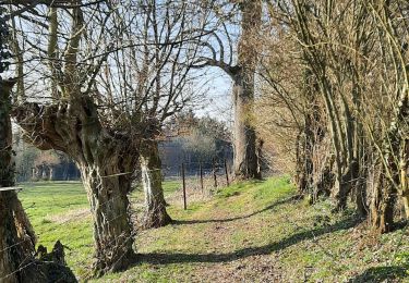 Tocht Stappen Bazuel - Bazuel - Photo