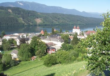 Trail On foot Millstatt am See - 33-Millstatt Zwergensee Obermillstatt - Photo